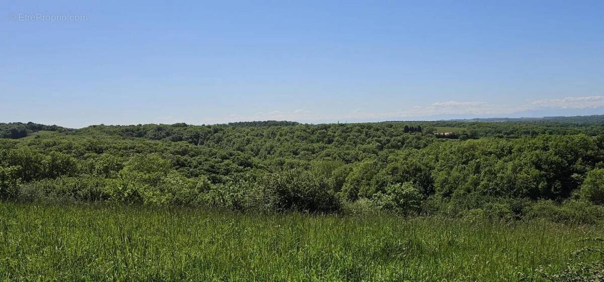 Terrain à ORDAN-LARROQUE