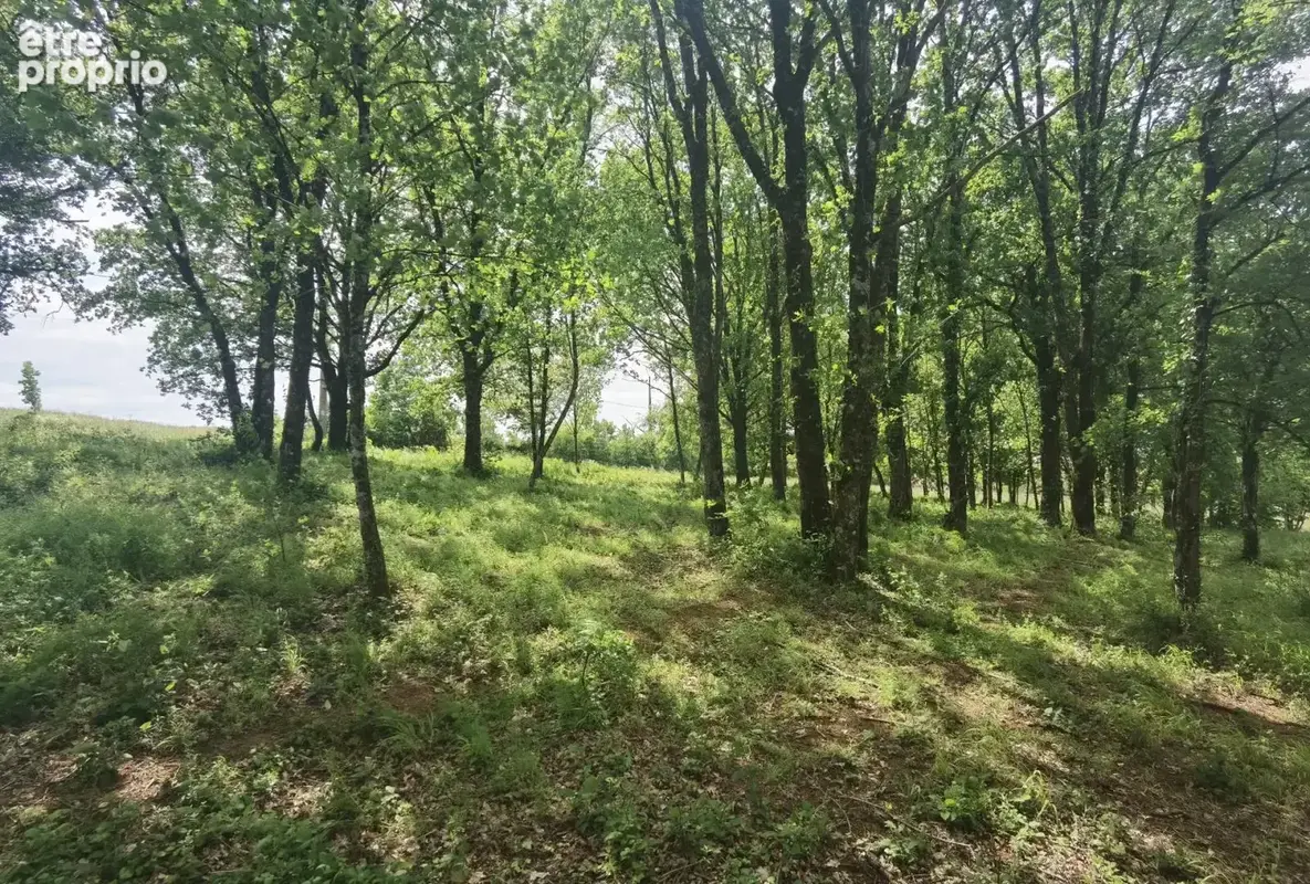 Nord