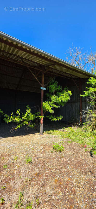 Terrain à MACHEMONT