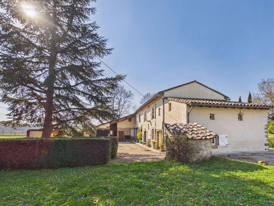 Maison à CASTELNAU-DE-MONTMIRAL