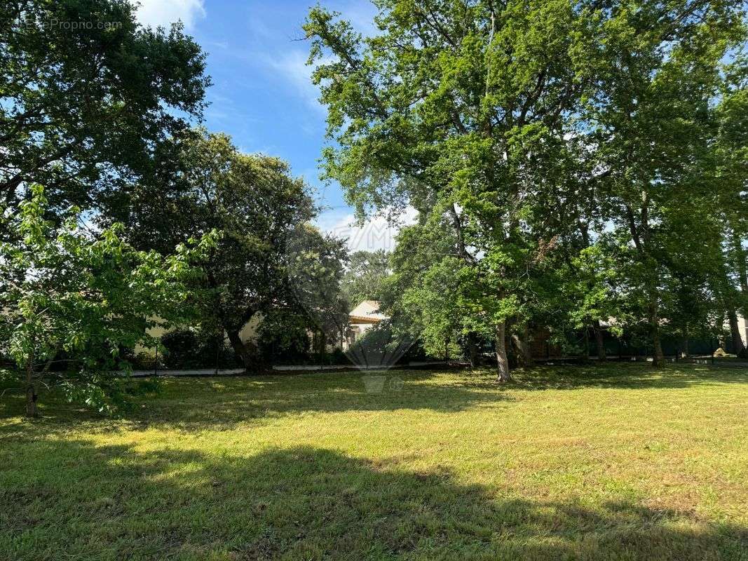 Terrain à LES MATHES