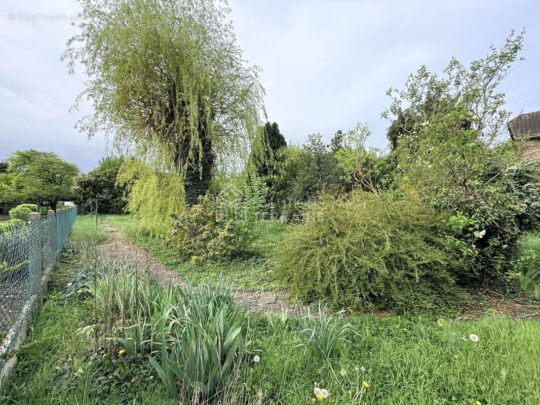 Terrain à BUTRY-SUR-OISE