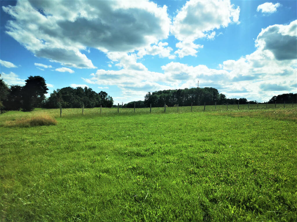 Terrain à CHATEAU-THIERRY