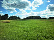 Terrain à CHATEAU-THIERRY