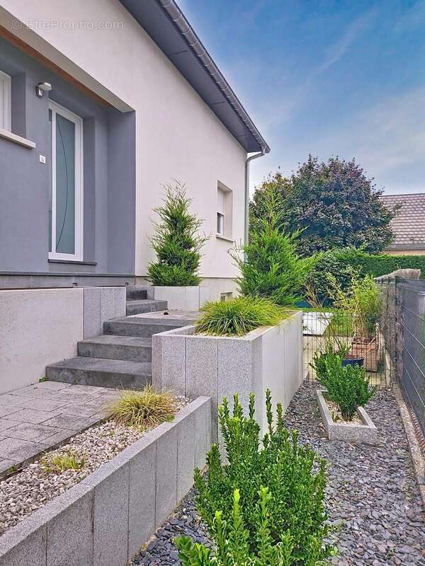 Photo 6 - Maison à PULVERSHEIM