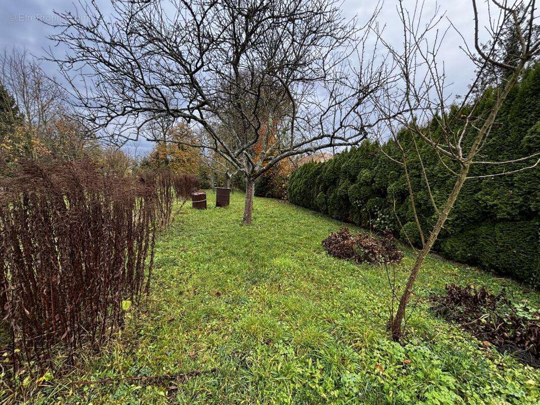 Maison à SILLY-EN-GOUFFERN