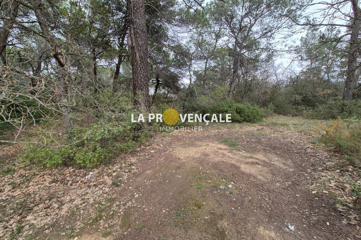 Terrain à NANS-LES-PINS