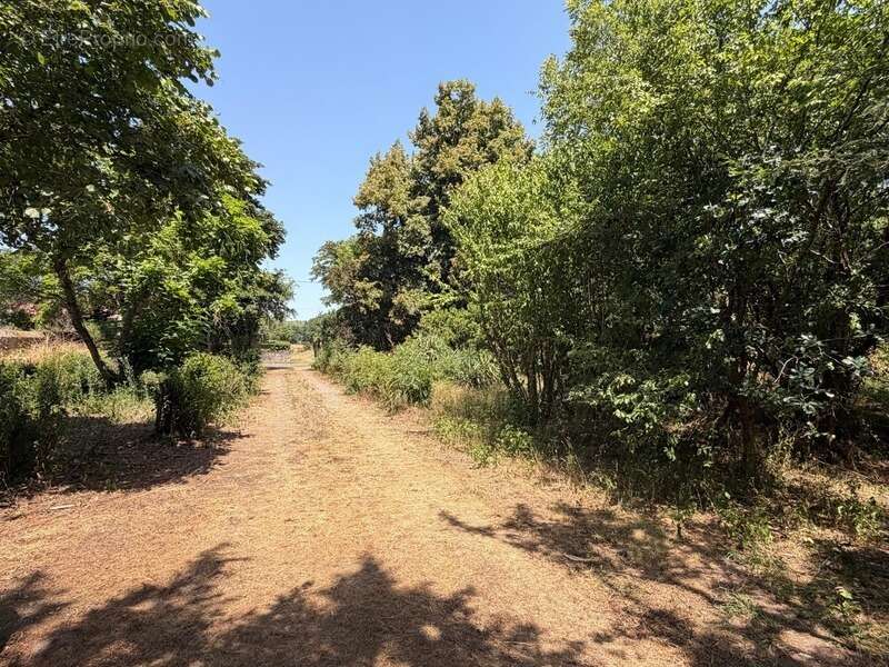 PLAISANCE du GERS proche(32): ANCIENNE PROPRIETE BOURGEOISE avec dépendances, bois, petit etang, 2 hectares,CALME, sans vis à vi - photo 24