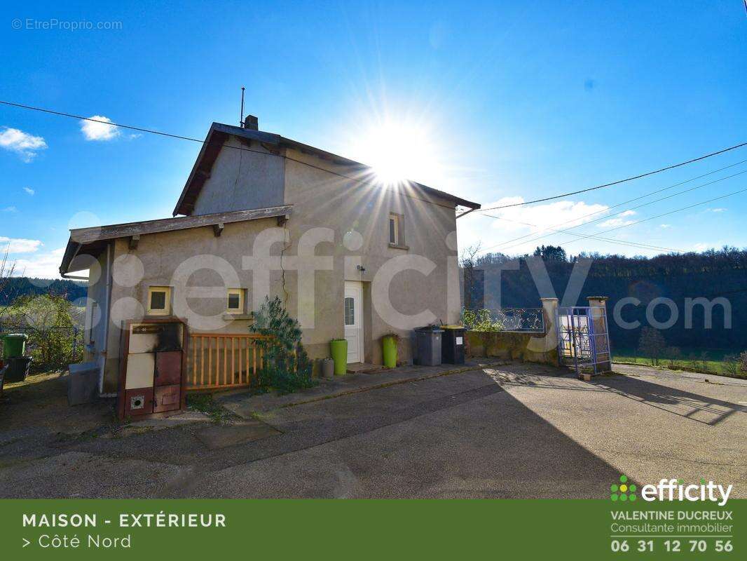 Maison à CHAZELLES-SUR-LYON