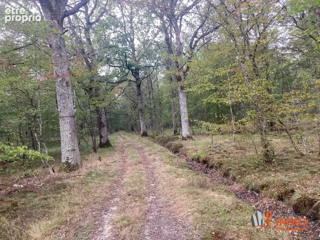 Magnifique propriété de 93 hectares, terres et bois, étang, m - photo 18