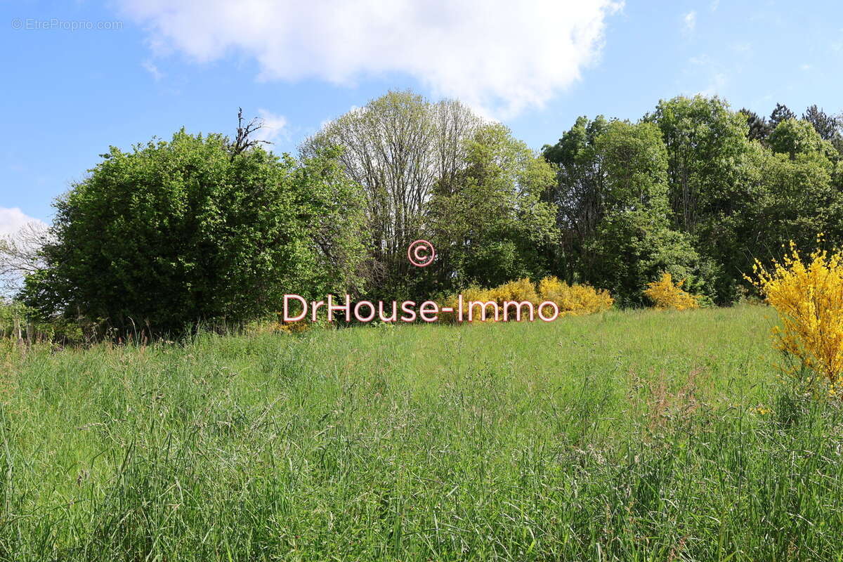 Terrain à SAINT-YRIEIX-LA-PERCHE