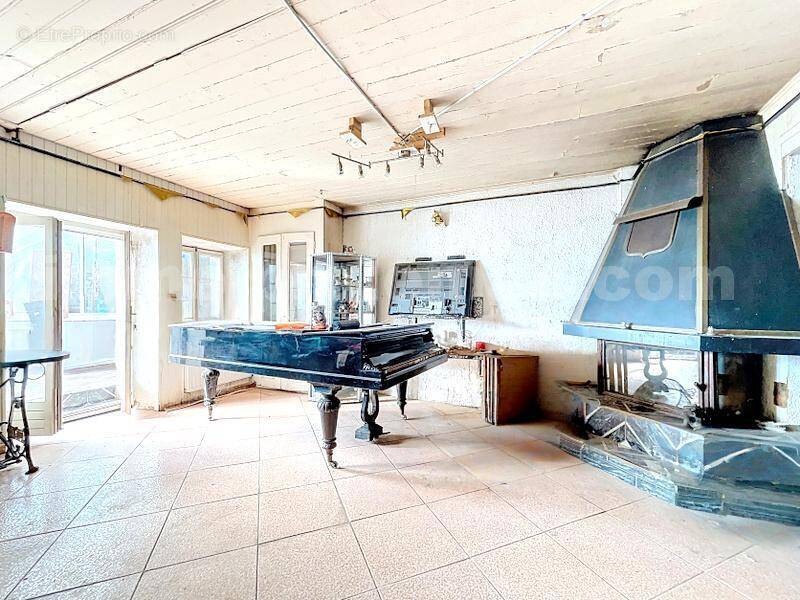 Maison_individuelle_SAINT_ANDRE_DE_BOEGE_5_piéces_beaux_volumes_jardin_terrain_bois_calme_campagne_proche_centre_proche_geneve_suisse_autoroute_douane_sejour_ - Maison à BOEGE