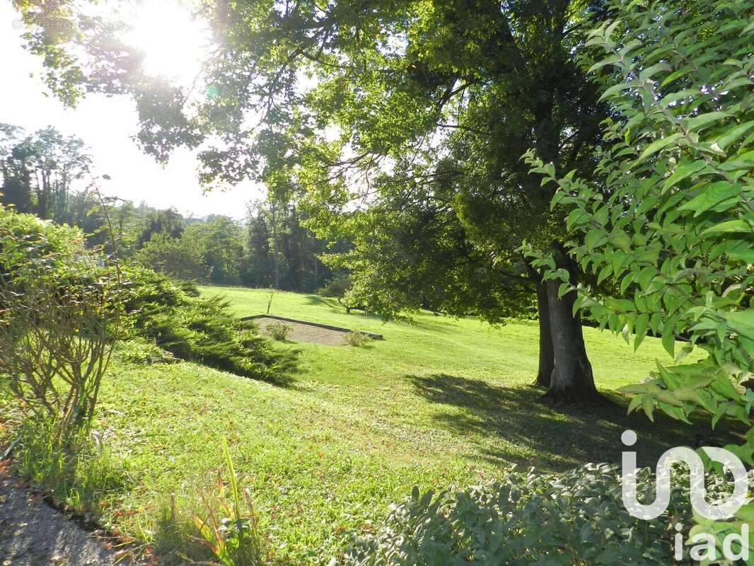 Photo 5 - Maison à SAINT-REMY