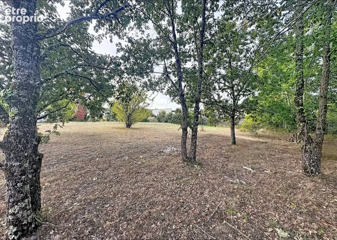 Terrain 1 217 m² à vendre à Cepet (31620) - photo 3
