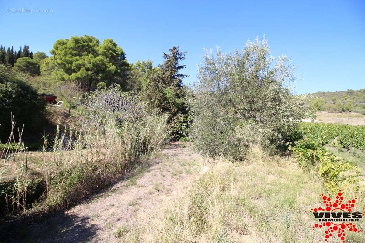 Terrain à MONTOULIERS