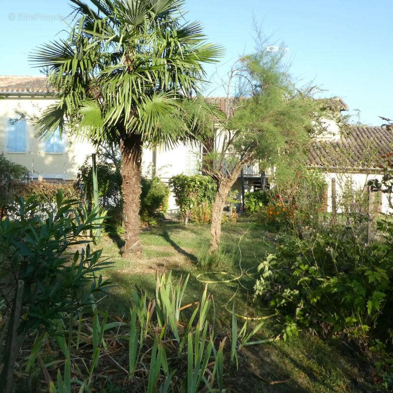 Appartement à L&#039;ISLE-JOURDAIN
