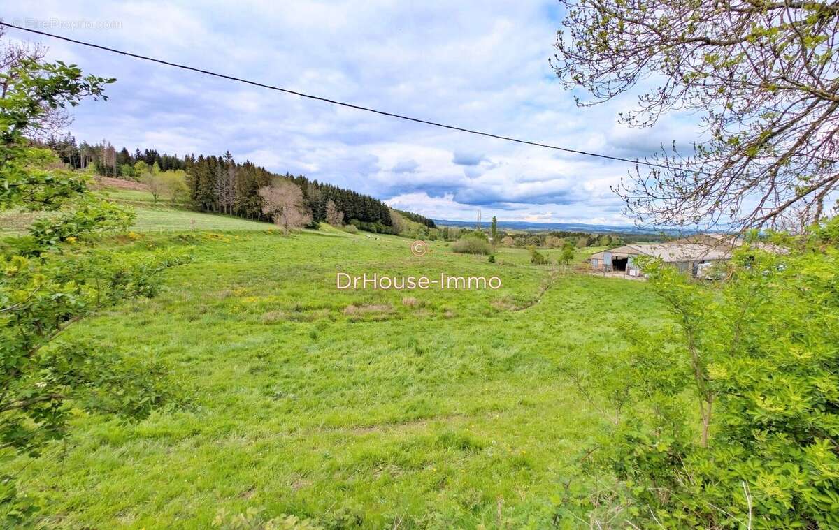 Terrain 1500 m² à Jullianges  - photo 3