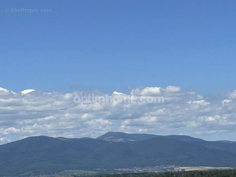 Appartement à MULHOUSE