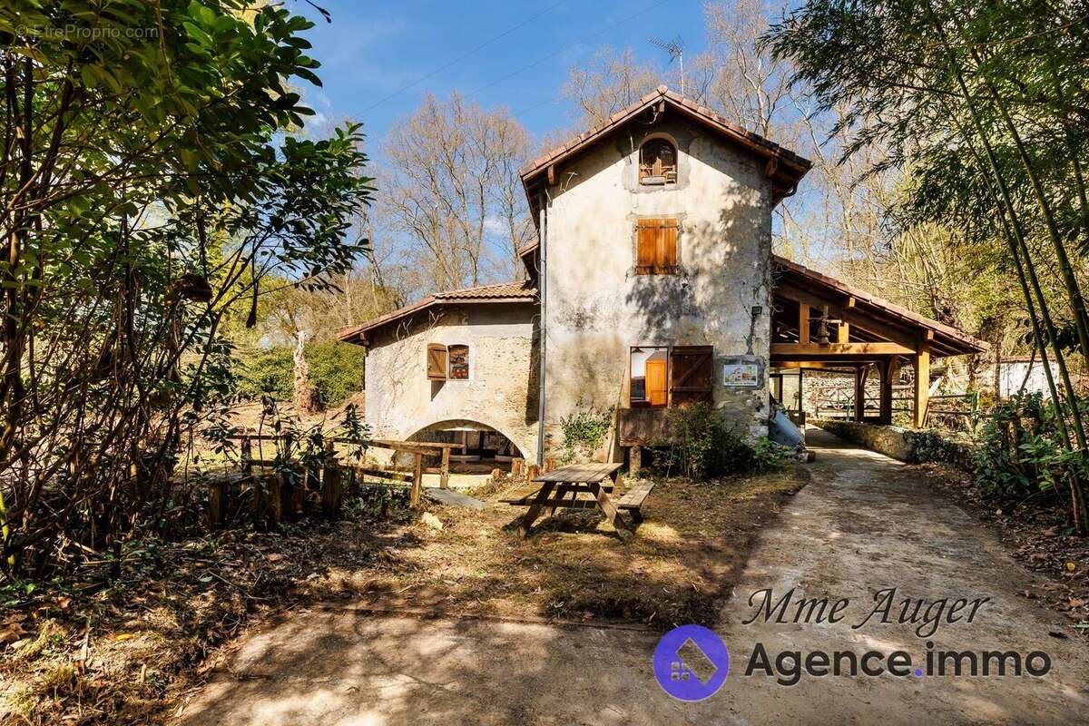 FACADE MOULIN - Maison à HABAS