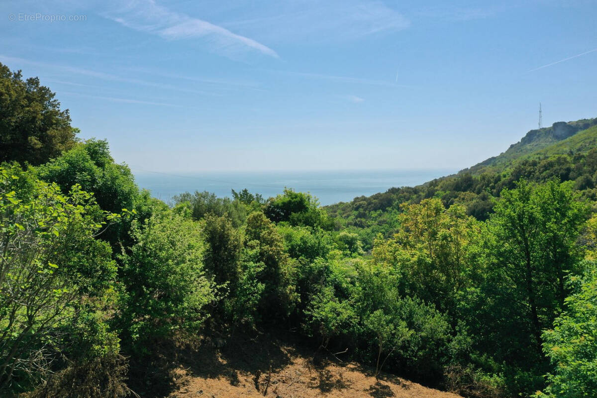 Terrain à BRANDO