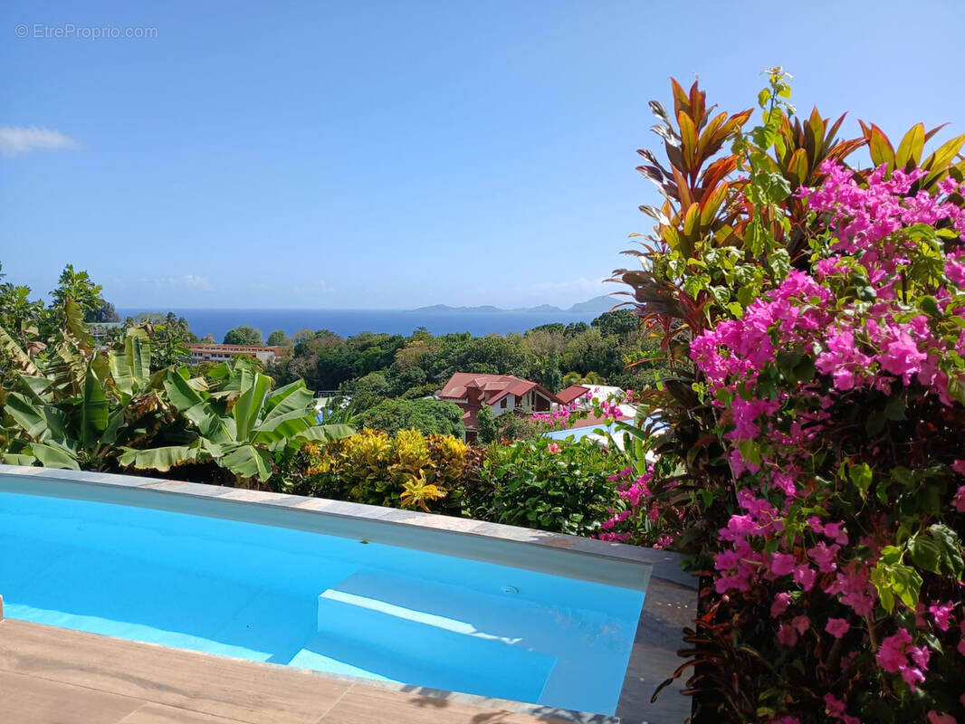 Maison à BASSE-TERRE