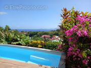 Maison à BASSE-TERRE