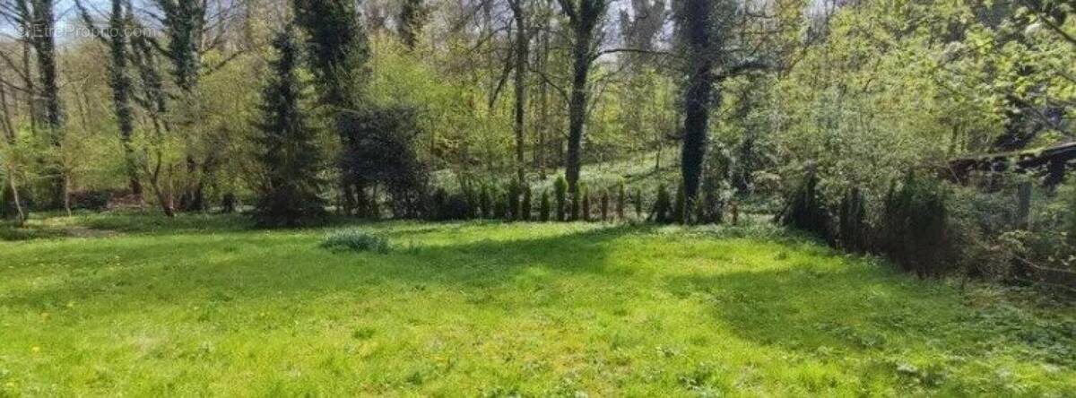 Photo 1 - Terrain à BOUQUEHAULT