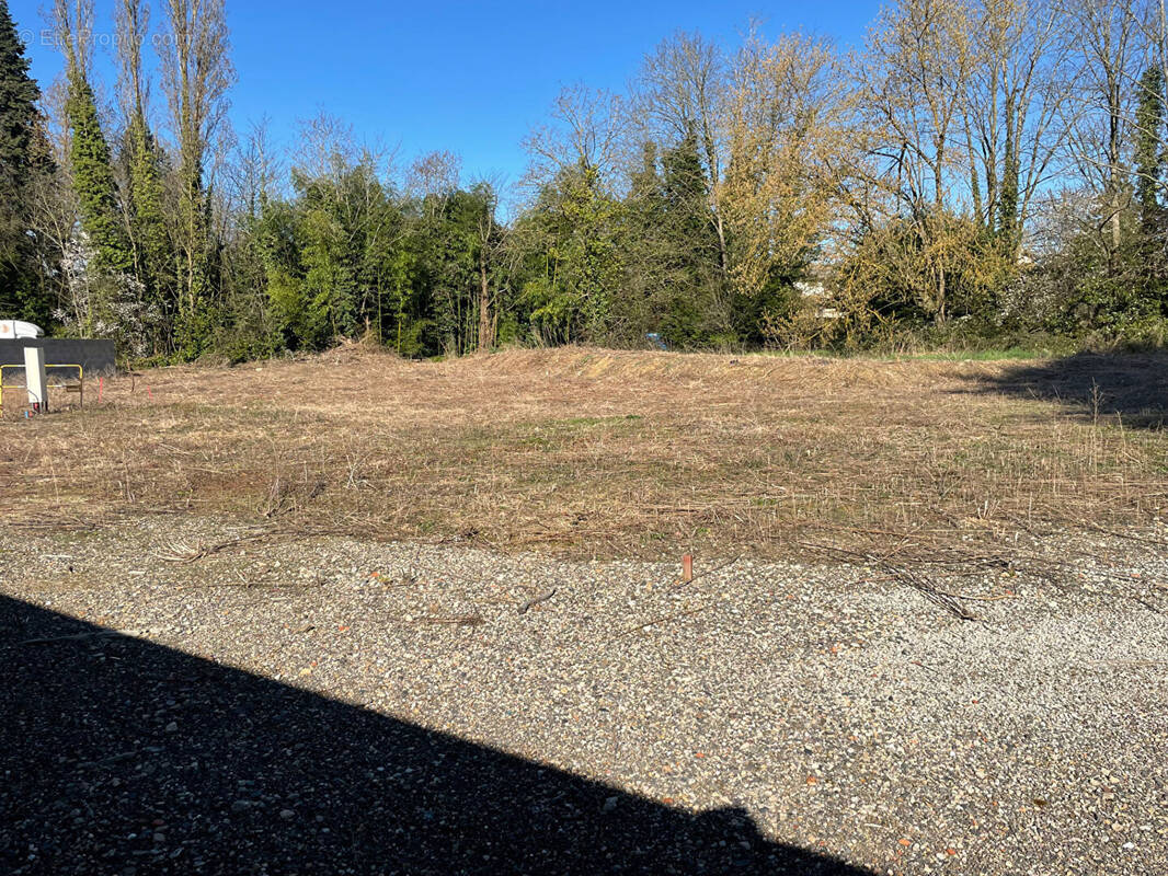 Terrain à LA CHAPELLE-DE-GUINCHAY