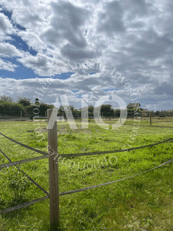 Terrain à LA BOISSE