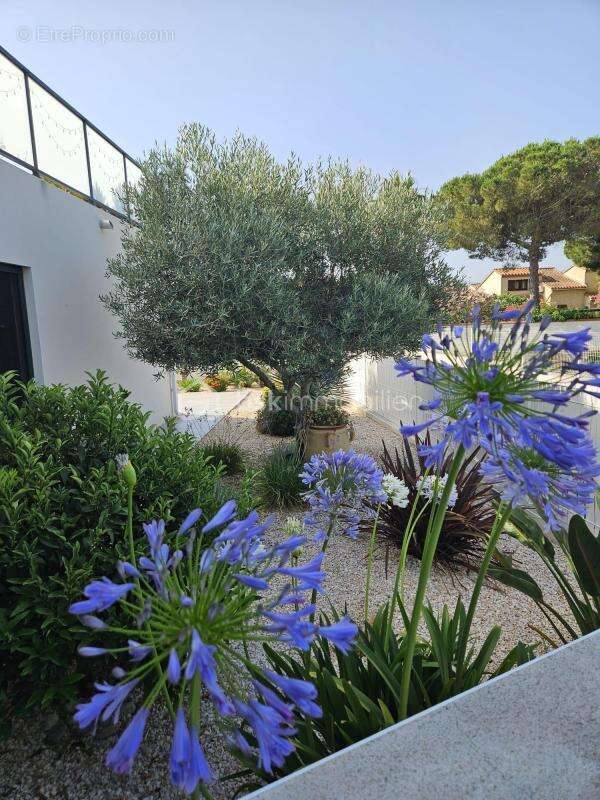 A vendre villa recente trois faces de 108m² sur terrain de 300m² en impasse a saint cyprien plage - proche du port - trois chamb - photo 30