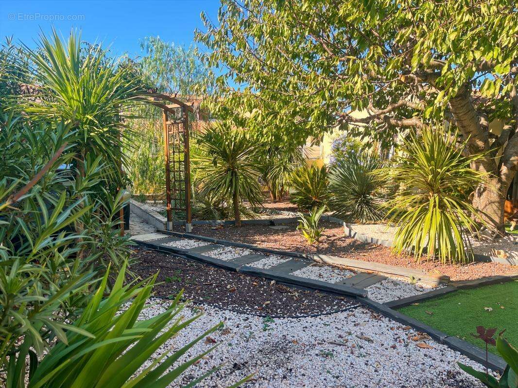 Maison à MARSEILLAN