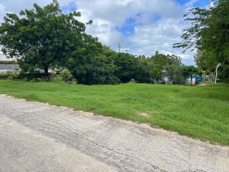 Terrain à SAINT-MARTIN