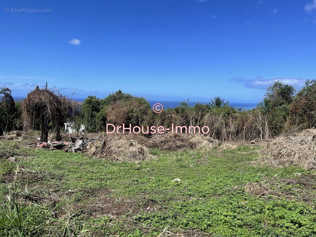 Terrain à VIEUX-HABITANTS