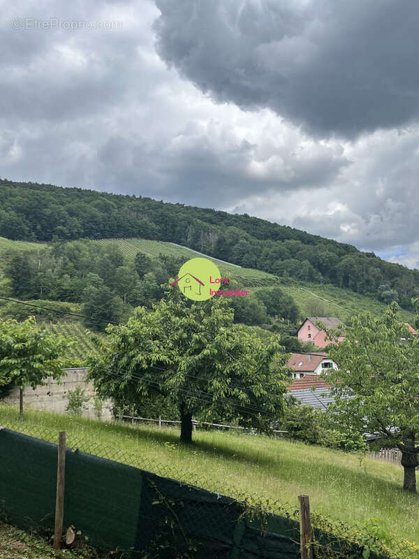 Appartement à BARR
