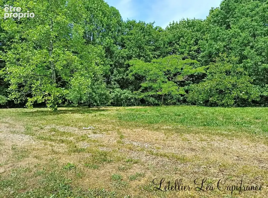 Propriété à vendre 5 pièces - photo 3