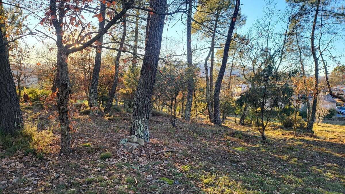 Terrain à LES ASSIONS