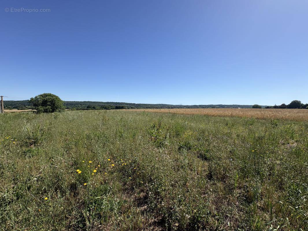 Terrain à SAINT-GERMAIN-ET-MONS