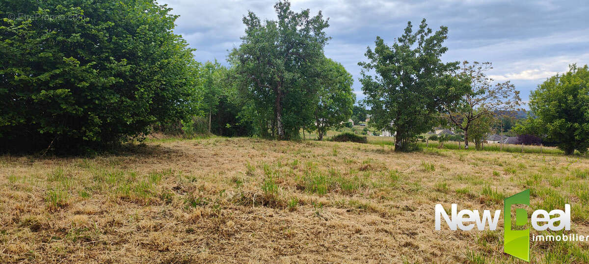 Terrain à DONZENAC