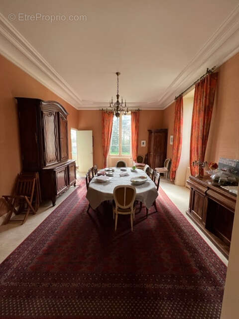 Exceptionnel - photo 11