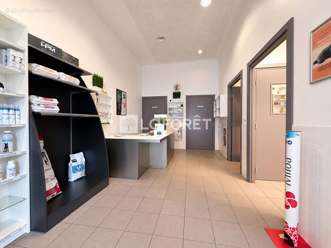Cabinet vétérinaire Saverne - photo 2