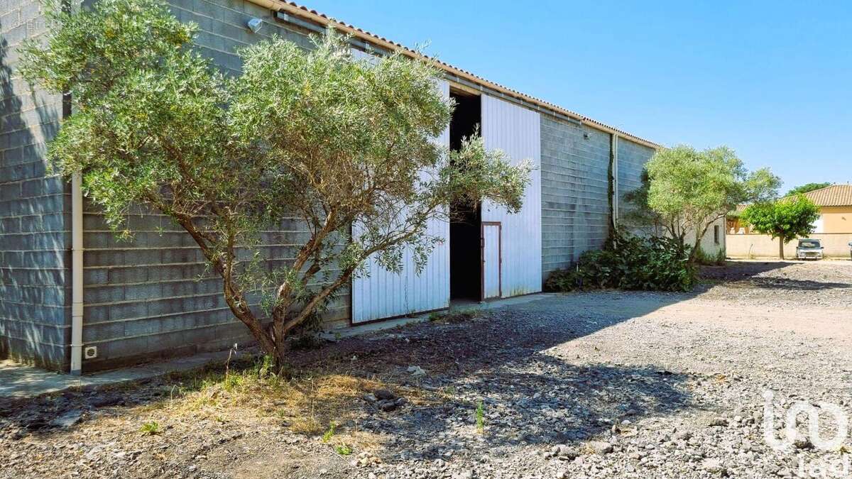 Photo 2 - Maison à PUISSALICON