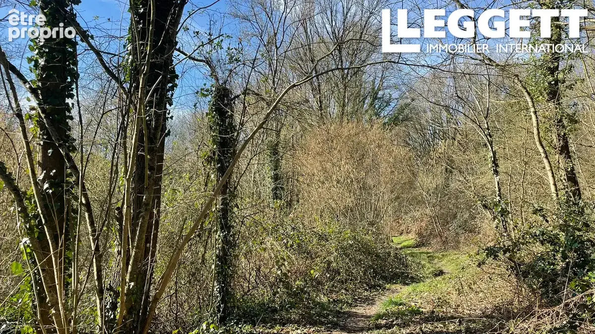 Un terrain boisé, un magnifique espace naturel au cœur de la Bretagne centrale - photo 8