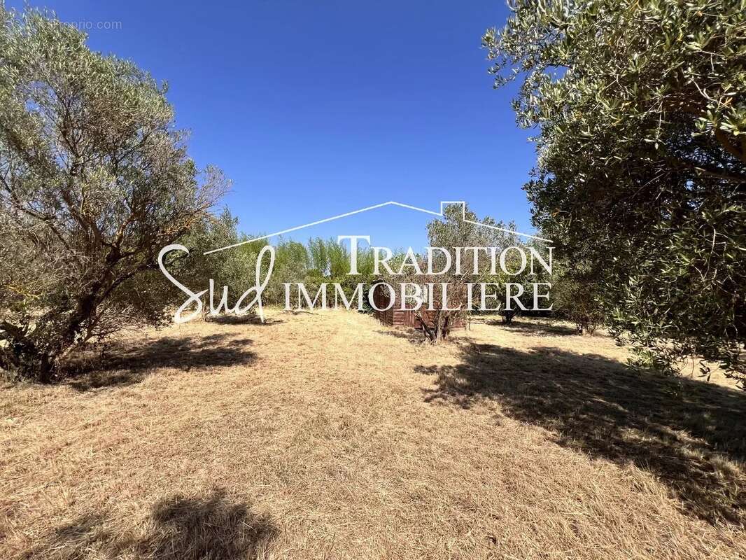 Terrain à PARADOU