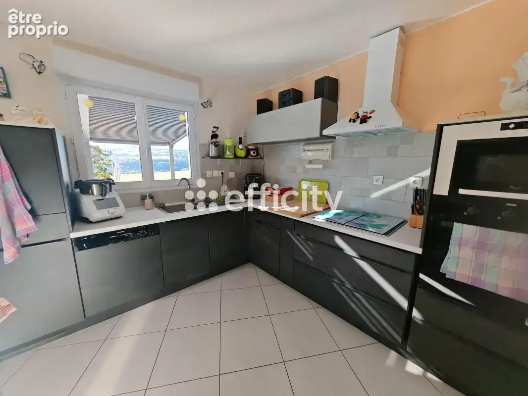 Maison 5 pièces 153 m² à vendre à Virieu (38730) - photo 4