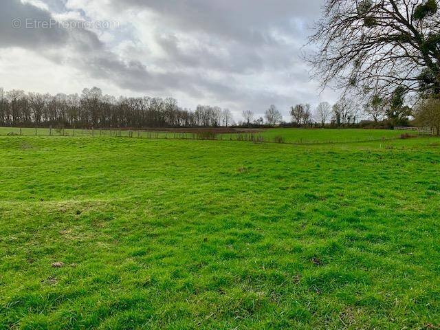 Terrain à EVRY-GREGY-SUR-YERRE