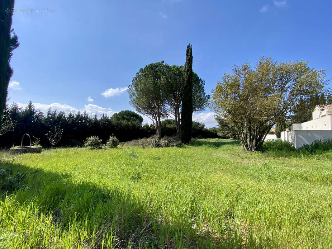 Maison à VILLEMOUSTAUSSOU
