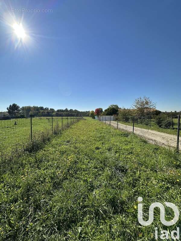 Terrain 2614 m² à Bassac  - photo 5