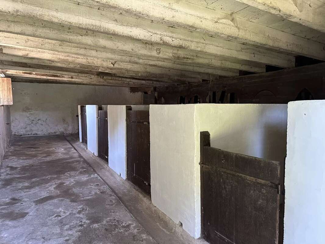 Charmante maison charentaise en pierre avec maison d'amis, piscine et plus de 1Ha de terrain - photo 19