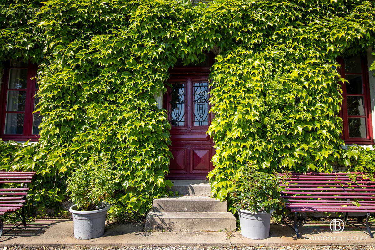 Maison au coeur des marais - 173 m² - Environnement calme et paisible - photo 6