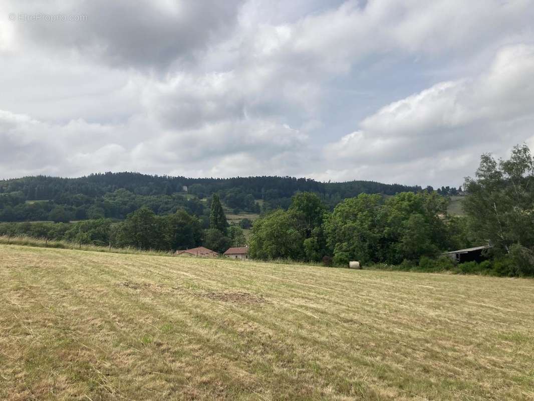 Photo 2 - Terrain à MONTBRISON